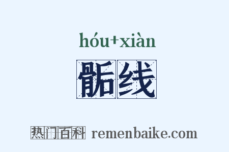 骺线是什么意思的图片